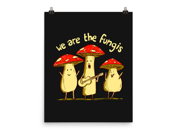 The Fungis