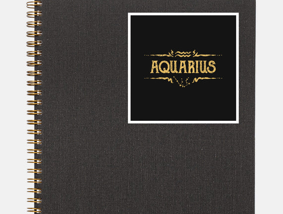 Vintage Aquarius