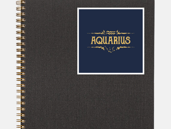 Vintage Aquarius
