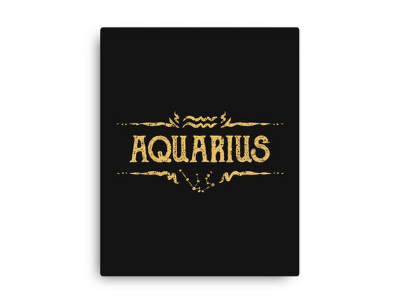 Vintage Aquarius