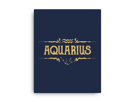 Vintage Aquarius