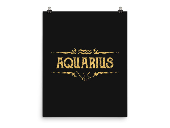 Vintage Aquarius
