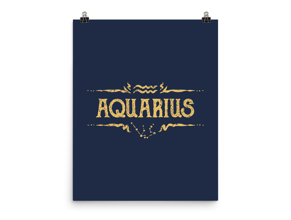 Vintage Aquarius