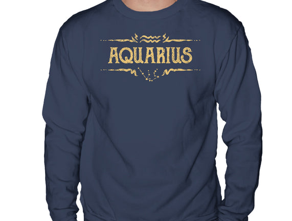 Vintage Aquarius