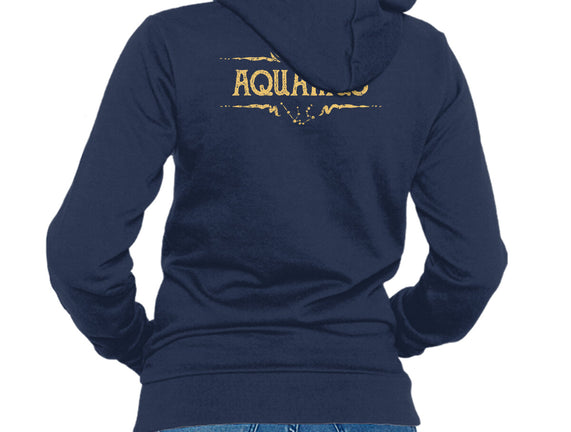 Vintage Aquarius