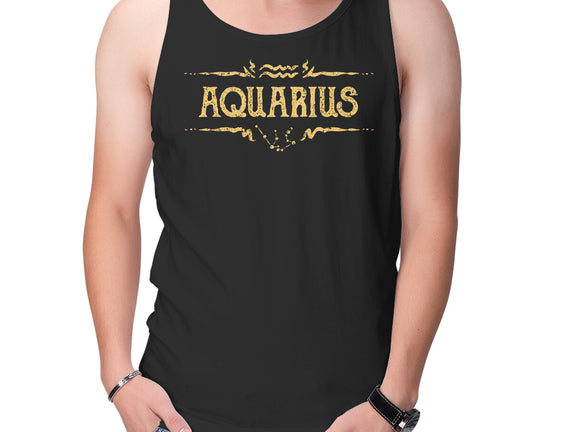 Vintage Aquarius