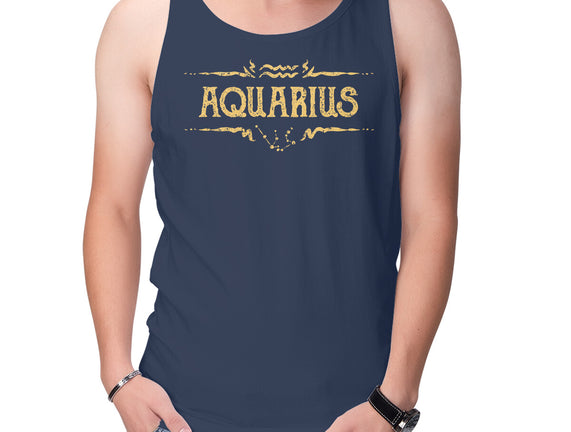 Vintage Aquarius
