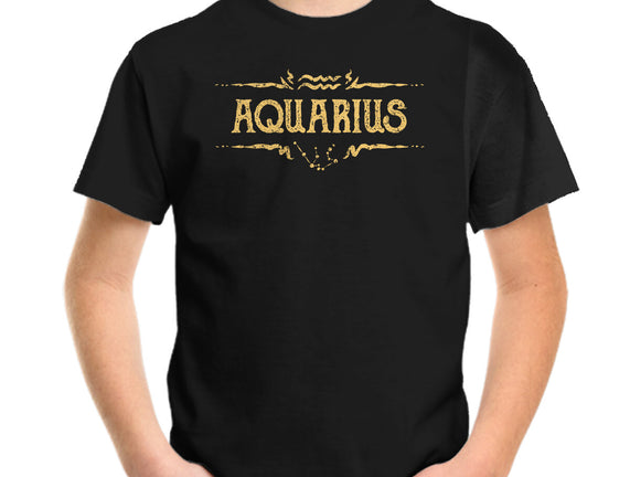 Vintage Aquarius
