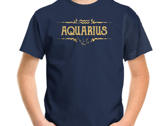 Vintage Aquarius