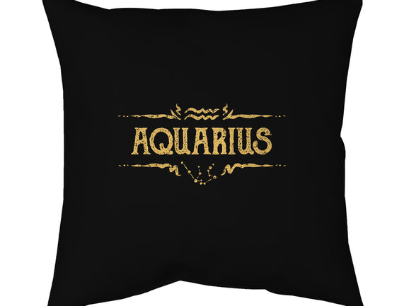 Vintage Aquarius