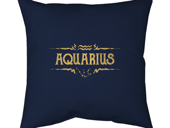 Vintage Aquarius