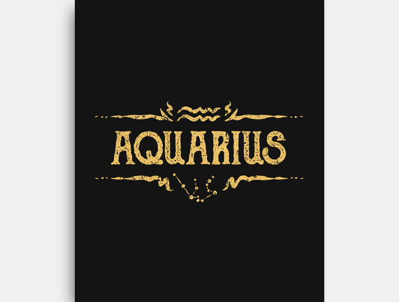 Vintage Aquarius