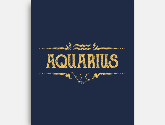 Vintage Aquarius
