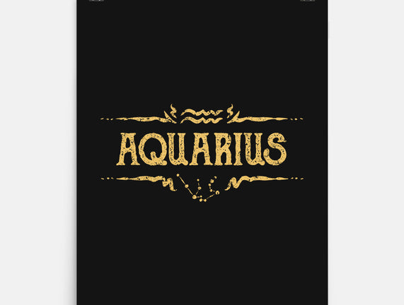 Vintage Aquarius