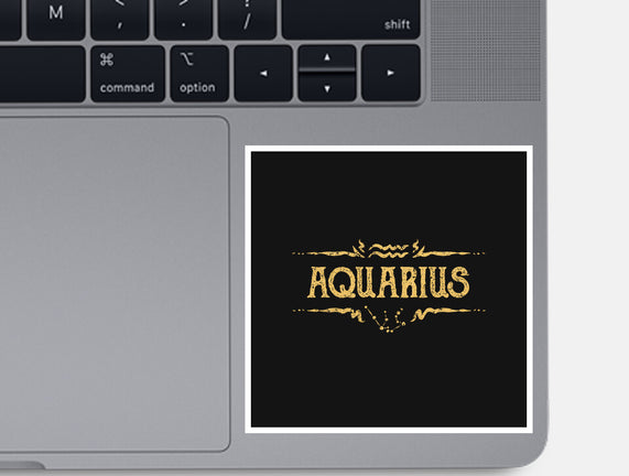 Vintage Aquarius