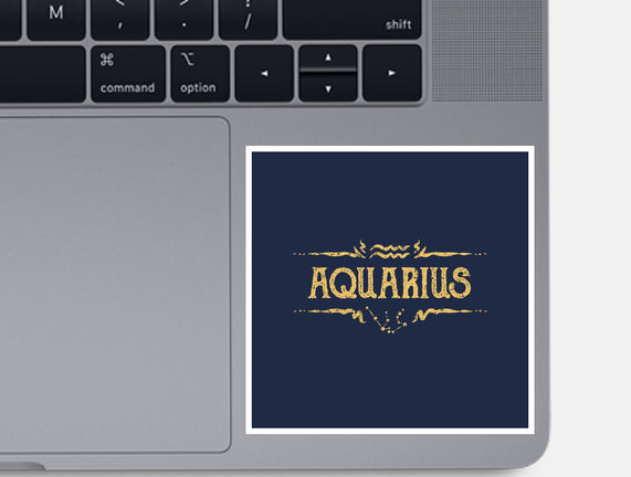 Vintage Aquarius