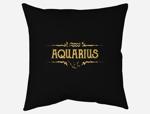 Vintage Aquarius