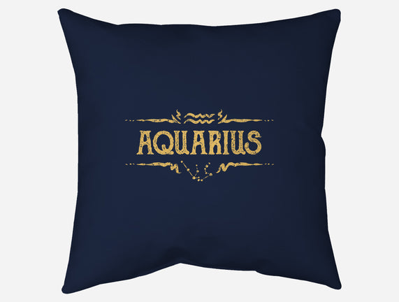 Vintage Aquarius