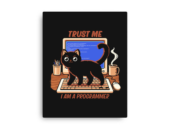 I Am A Programmer