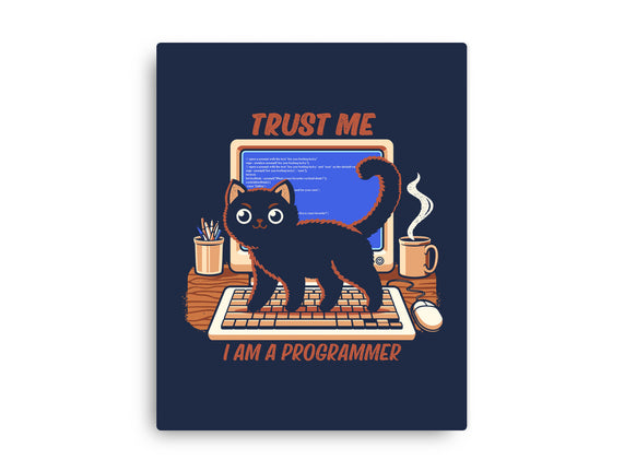 I Am A Programmer