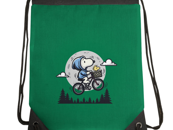 Fly To The Moon