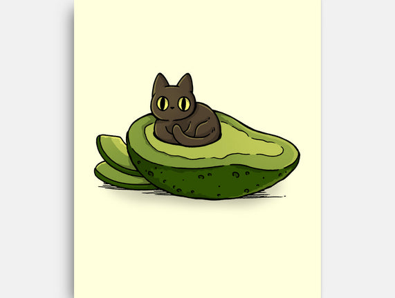 Avocat