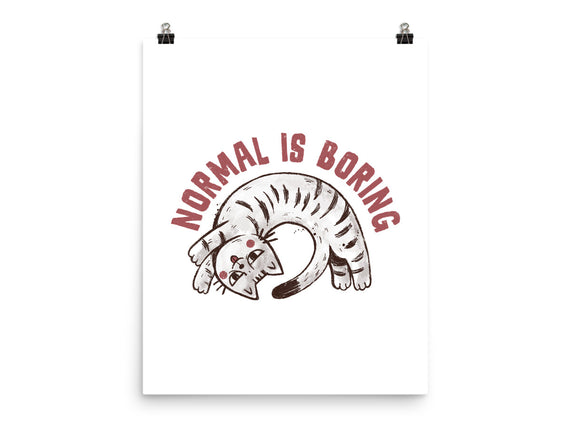 Normal Is So Boring