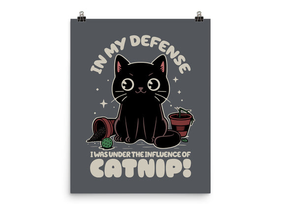 It's The Catnip's Fault