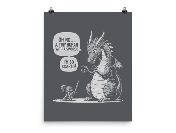 Sarcastic Dragon