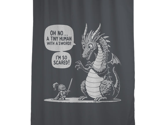 Sarcastic Dragon