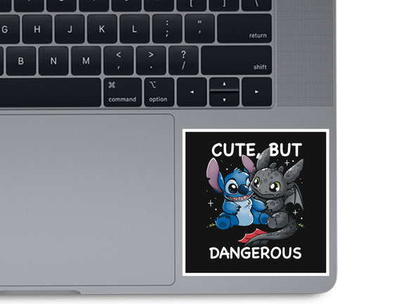 Cute But Dangerous Animals