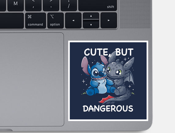 Cute But Dangerous Animals