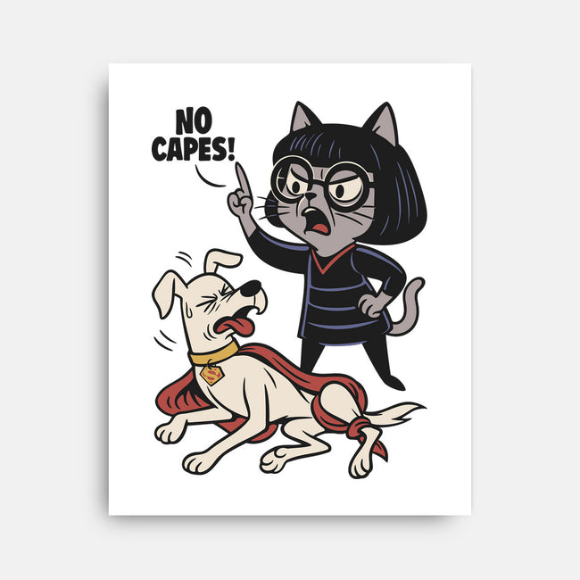 No Capes-None-Stretched-Canvas-Popnotic