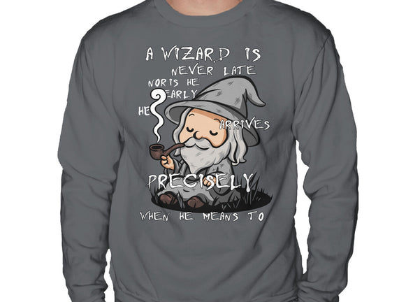 A Wizard Is Never Late