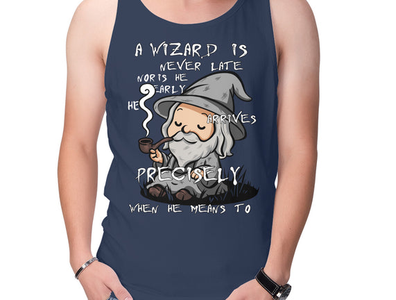 A Wizard Is Never Late