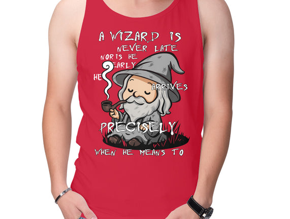 A Wizard Is Never Late