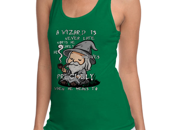 A Wizard Is Never Late