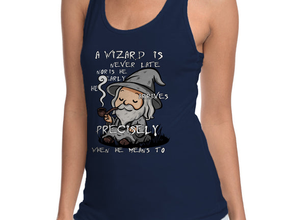 A Wizard Is Never Late
