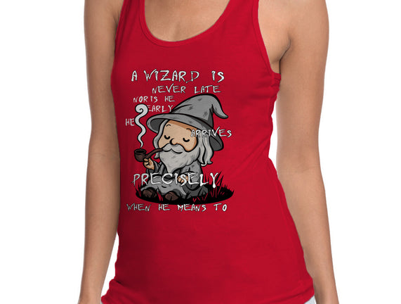 A Wizard Is Never Late
