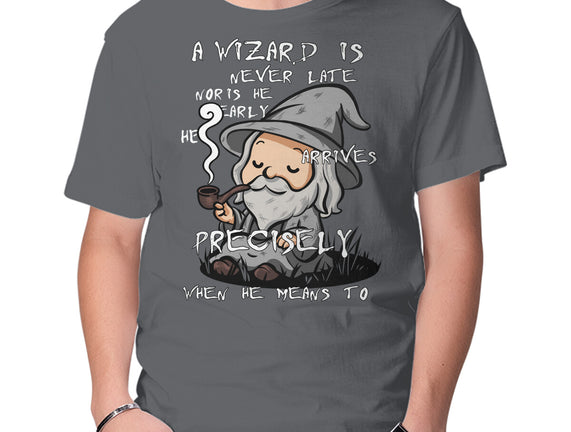 A Wizard Is Never Late