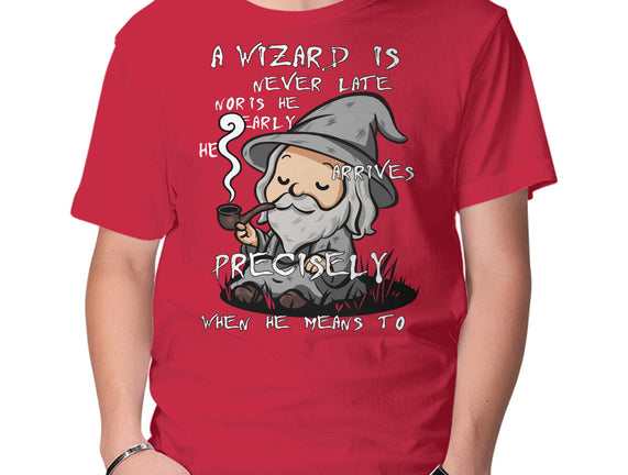 A Wizard Is Never Late