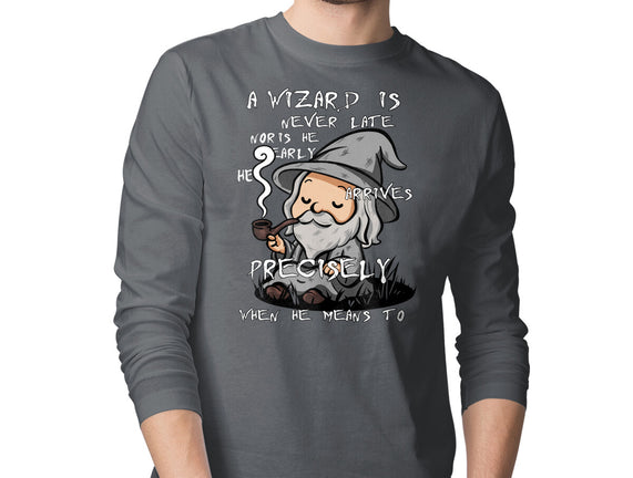 A Wizard Is Never Late