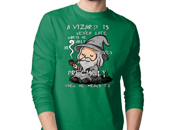 A Wizard Is Never Late