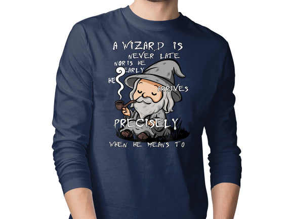 A Wizard Is Never Late