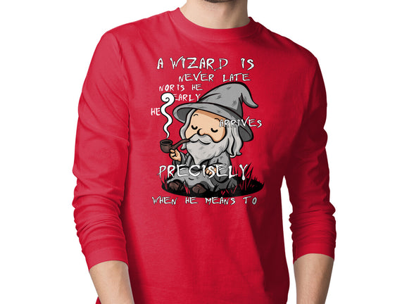 A Wizard Is Never Late