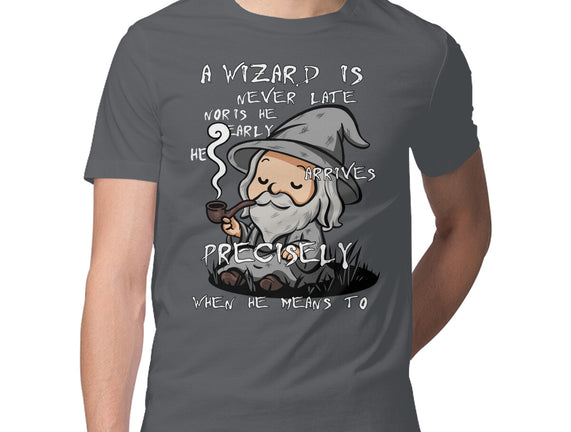 A Wizard Is Never Late
