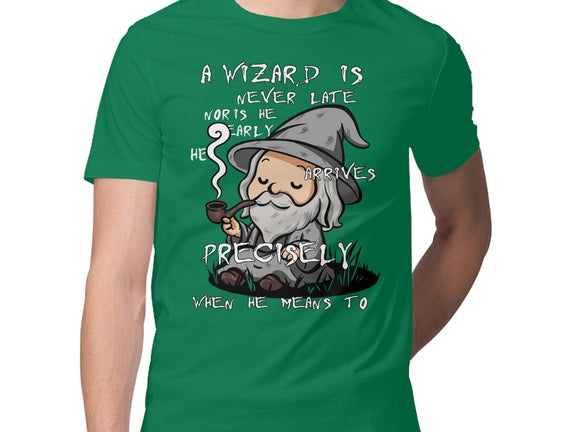 A Wizard Is Never Late