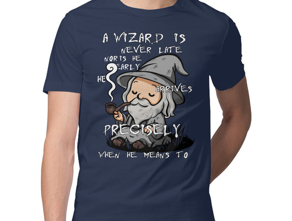 A Wizard Is Never Late