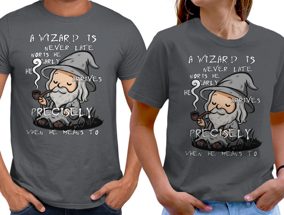 A Wizard Is Never Late