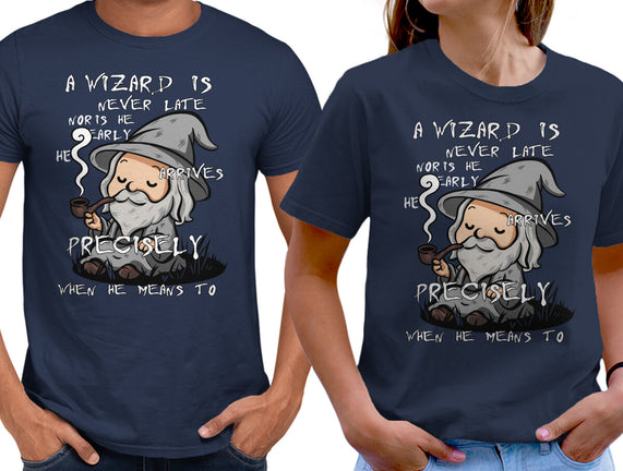 A Wizard Is Never Late